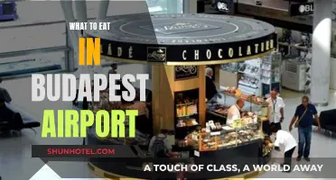 Explore the Best Food Options at Budapest Airport