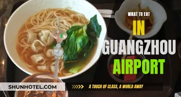 Guangzhou Airport Food Guide: Best Local Delights