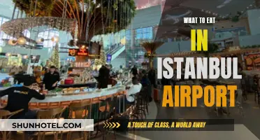 Istanbul Airport's Best Food: A Traveler's Guide