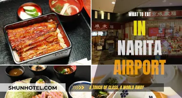 Narita Airport's Best Dining Options: A Foodie's Guide