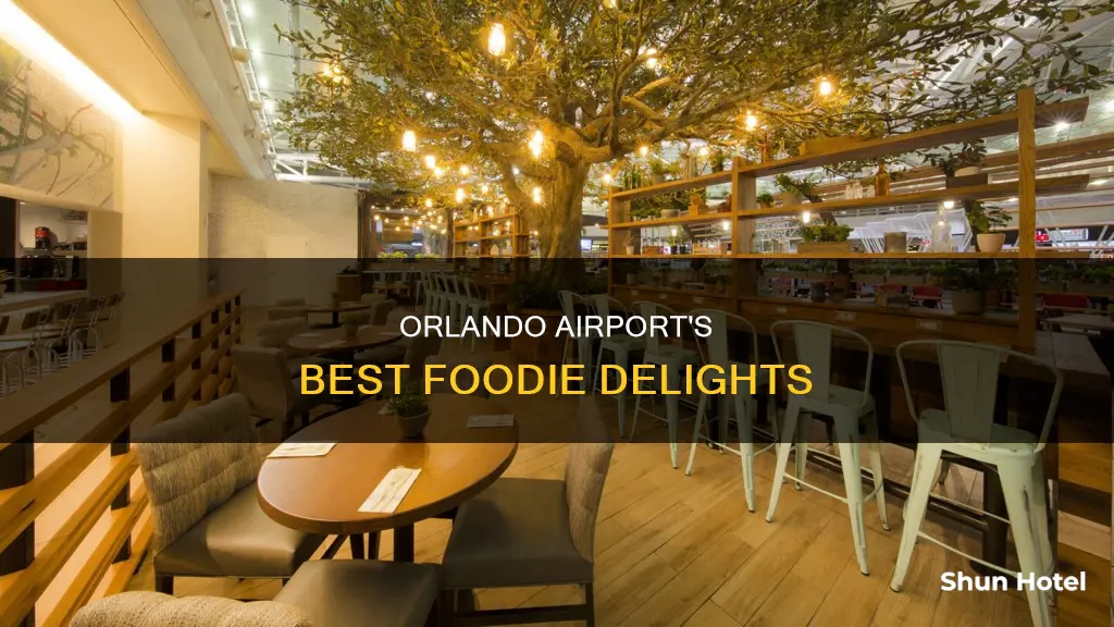 what to eat in orlando airport