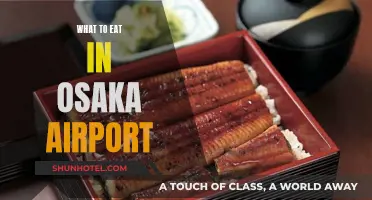 Osaka Airport's Culinary Delights: A Foodie's Guide