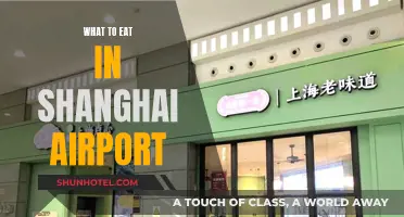 Shanghai Airport's Must-Try Food Delights