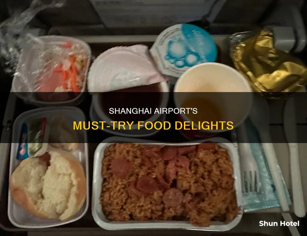 what to eat in shanghai airport