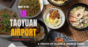 Explore Delicious Food Options at Taoyuan Airport