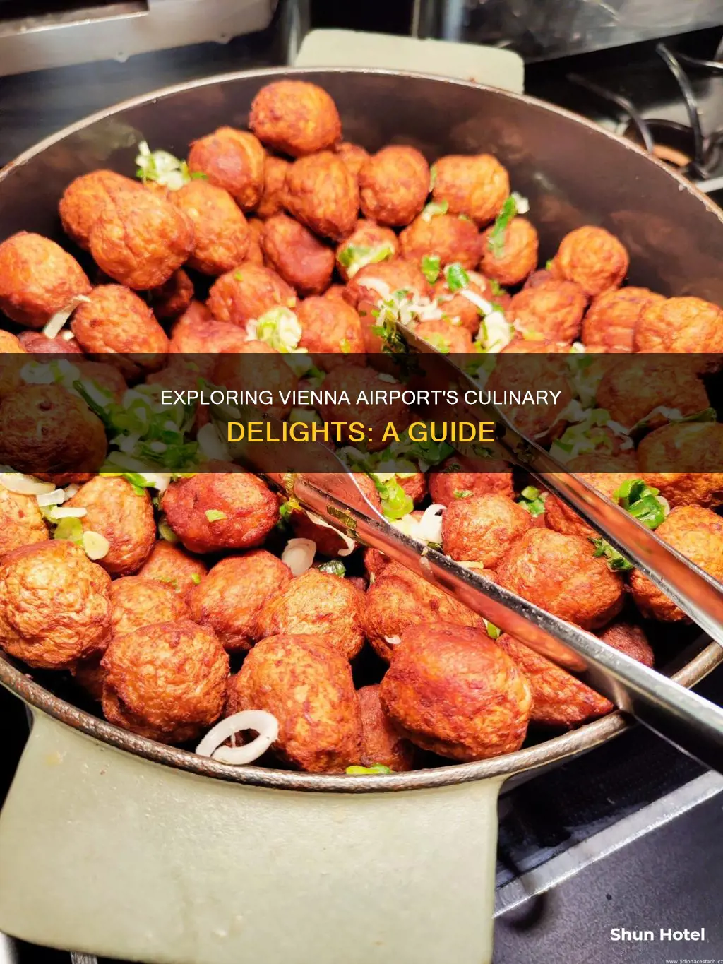 what to eat in vienna airport