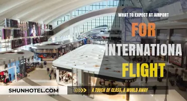 Navigating International Flights: What to Expect at the Airport