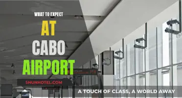 Navigating Cabo Airport: What to Expect When Landing