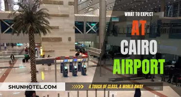 Navigating Cairo Airport: A Traveller's Guide to Expectations