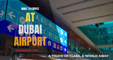 Dubai Airport: What to Expect When You Land