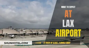A Traveler's Guide to LAX Airport
