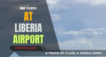 A Traveler's Guide to Liberia Airport Expectations