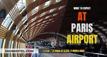 A Traveler's Guide to Paris Airport Expectations
