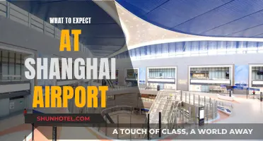 Shanghai Airport: A Guide to Expectations