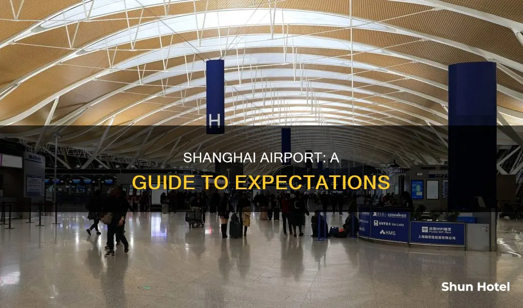 what to expect at shanghai airport