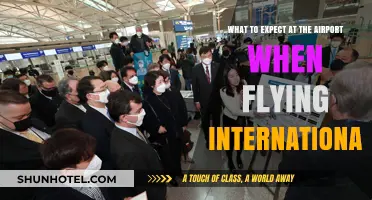 International Travel Guide: Navigating Airport Procedures and Expectations Abroad