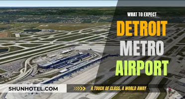 Detroit Metro Airport: A Comprehensive Guide for Travelers