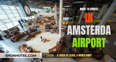 Amsterdam Airport: What to Expect When Visiting