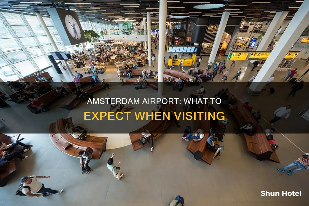 what to expect in amsterdam airport
