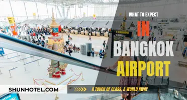 A Traveler's Guide to Bangkok Airport Expectations