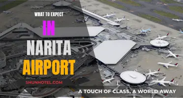 A Traveler's Guide to Narita Airport