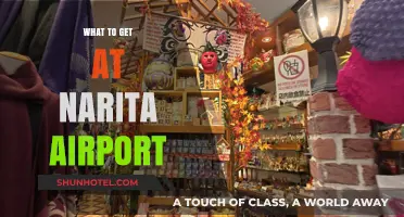 Narita Airport Shopping Guide: Must-Buy Souvenirs and Treats to Grab