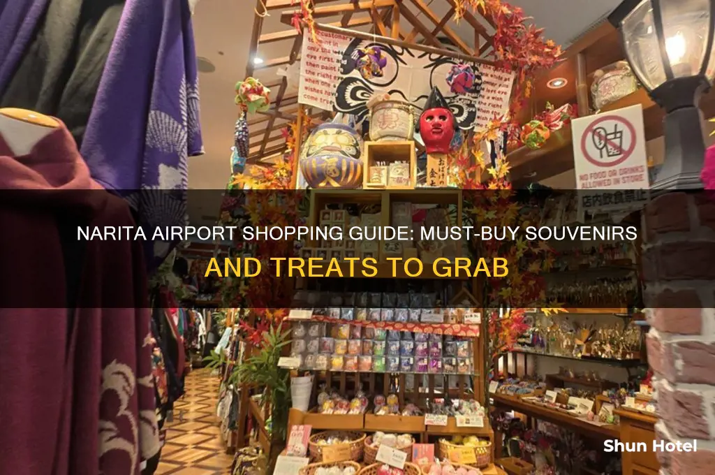 what to get at narita airport