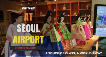 Seoul Airport Shopping Guide: Must-Buy Korean Treats and Souvenirs