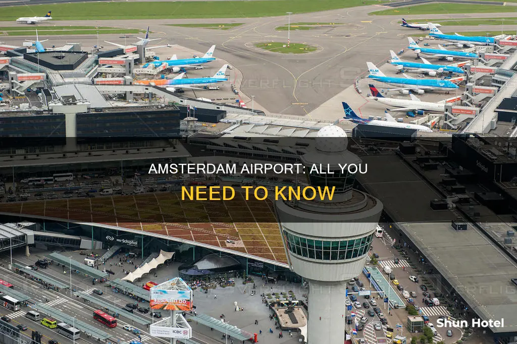 what to know about amsterdam airport