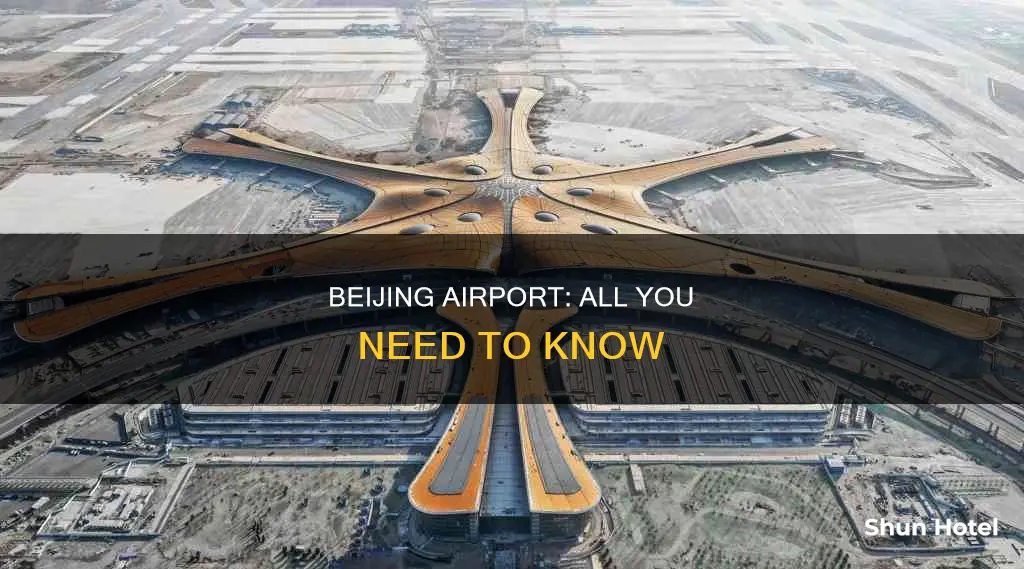 what to know about beijing airport