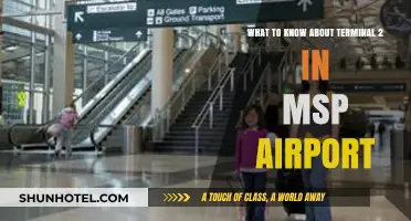 Navigating MSP Airport's Terminal 2: Insider Tips and Essentials