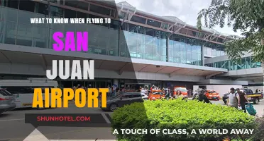 Essential Tips for a Smooth Arrival at San Juan Airport