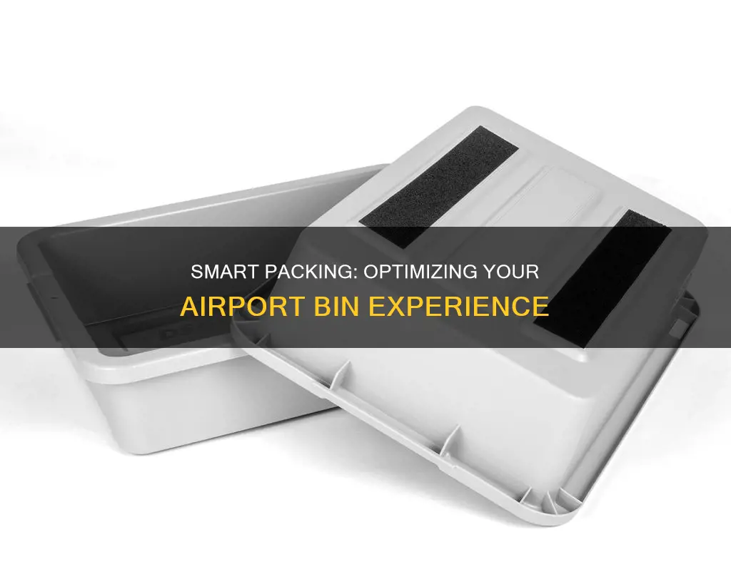 what to put in bins airport