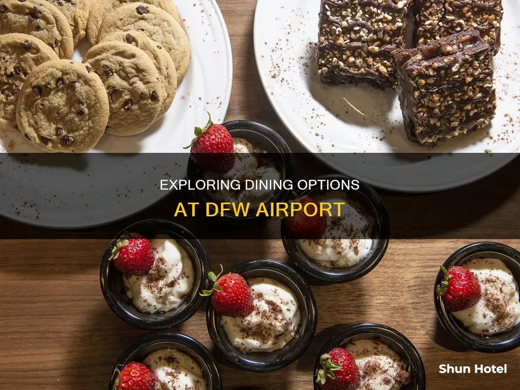 what to rat on dfw airport