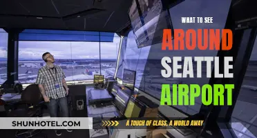 Exploring Seattle: Airport Layover Attractions