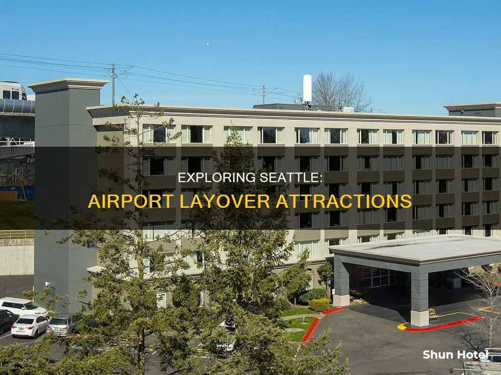what to see around seattle airport