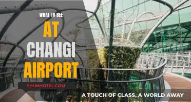 Explore Changi Airport: Attractions and More