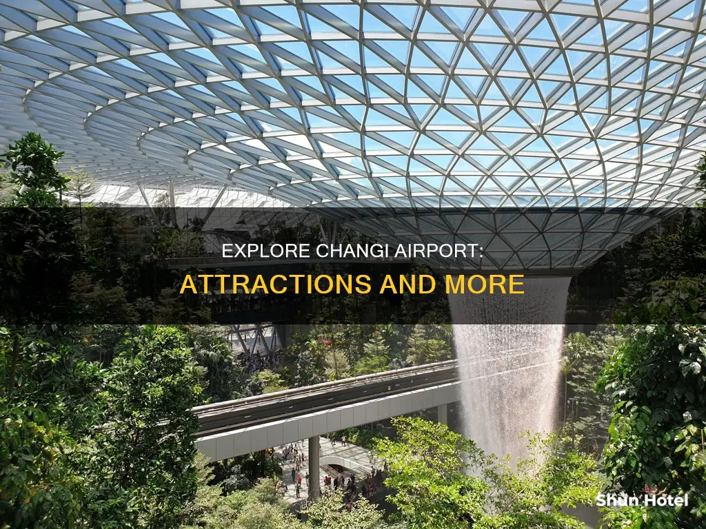 what to see at changi airport