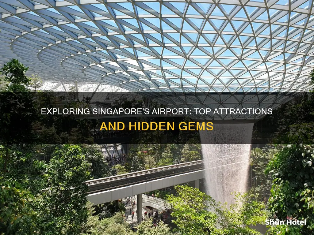 what to see at singapore airport