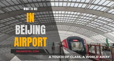 Exploring Beijing Airport: Attractions and Insights