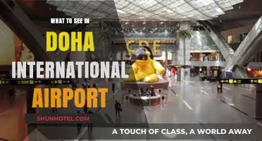 Exploring Doha International Airport: Must-See Attractions and Hidden Gems