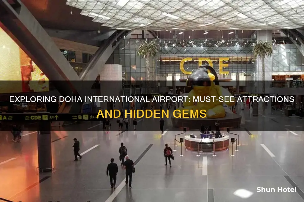 what to see in doha international airport