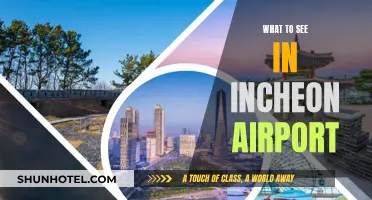Incheon Airport: Exploring the Transit Hub's Attractions