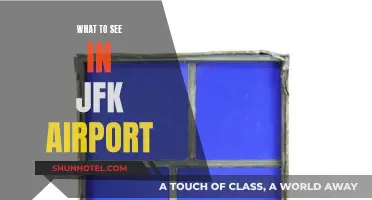 Exploring JFK: What to See During Layovers