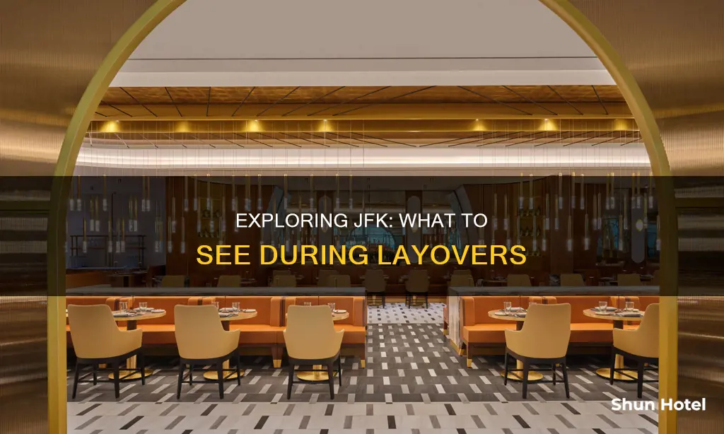 what to see in jfk airport