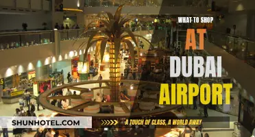 Dubai Airport Shopping: Best Buys Before Your Flight