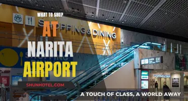 Shopaholic's Guide to Narita Airport: What to Buy?