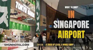 Shopaholic's Guide to Singapore Airport: Best Buys and More!