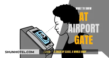 Air Gate Essentials: What to Show, What to Know