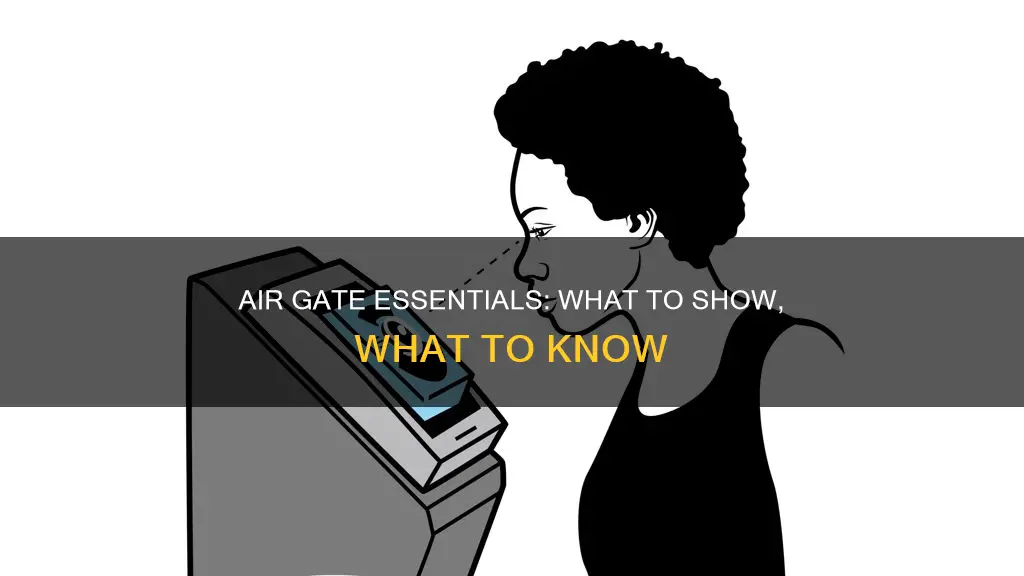 what to show at airport gate